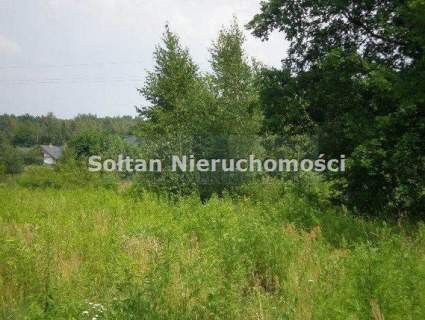 Działka inwestycyjna na sprzedaż, 33800 m2, Żelazowa Wola