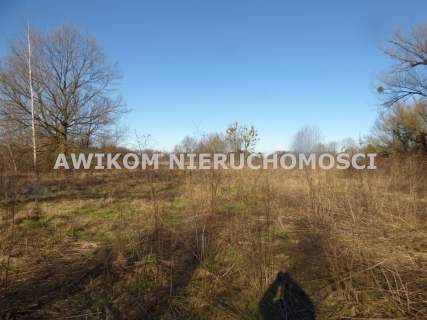 Działka na sprzedaż, 19000 m2, Grodzisk Mazowiecki