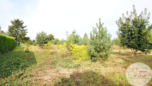 Działka Witobel 1192 m 2 km Stęszew blisko S5