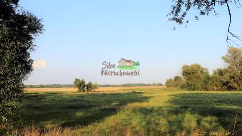 Inwestycja Działka rolno - siedliskowa 5,75ha