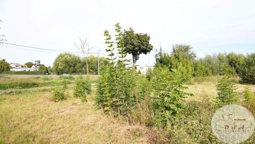 Działka Witobel 1192 m 2 km Stęszew blisko S5
