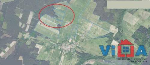 DZIAŁKA Z ZAŁOŻONĄ WINNICĄ