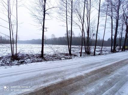 Działki w Halickich