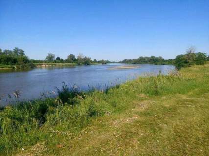 Siedlisko nad rzeką Bug m. Rażny