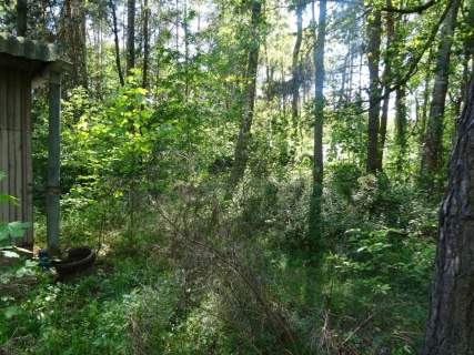 Działka na sprzedaż, 5200 m2, Kwiatkowice-Las