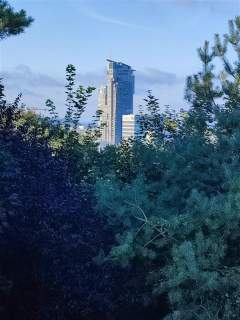 141 m2 w Gdyni Śródmieście ul. Świętojańska 2 mies