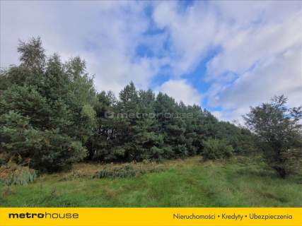 Działka o powierzchni 3111m w Białej Podlaskiej