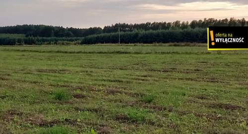 Działka pod agroturystykę w Celinach 3,5 ha