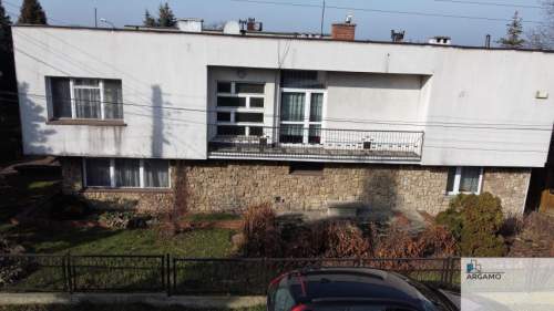 Pszczelnik w pobliżu Pola Golfowego