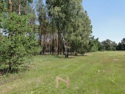 Działka budowlana na sprzedaż, 11068 m2, Łośno