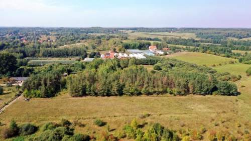 Działka bud Ogonki gm Węgorzewo