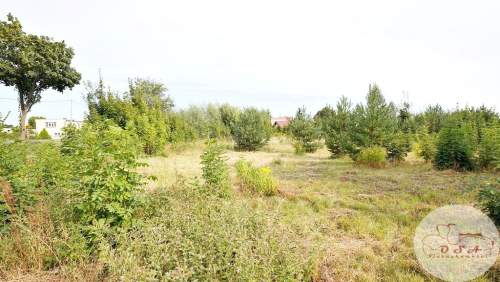 3 działki Witobel 3.562 m 2 km Stęszew blisko S5