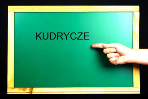 Działka Kudrycze