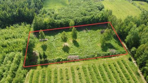 Działka 3580 m2 w Kazimierzu Dolnym 4 km od rynku.