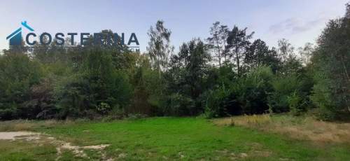Działka budowlana na sprzedaż, 5000 m2, Gołubie