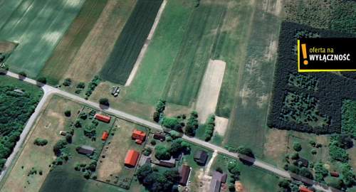 Działka pod agroturystykę w Celinach 3,5 ha