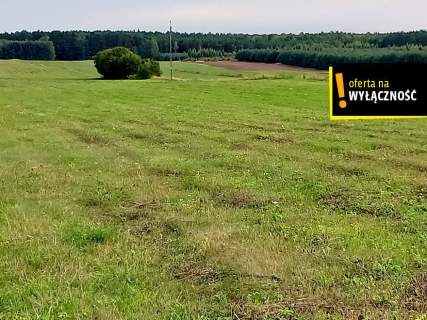 Działka pod agroturystykę w Celinach 3,5 ha