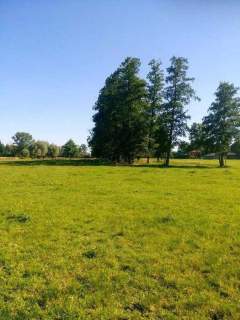 Siedlisko nad rzeką Bug m. Rażny