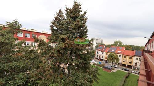 Mieszkanie 3 pokojowe, balkon, os. Hutnik Głogów