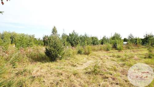 3 działki Witobel 3.562 m 2 km Stęszew blisko S5