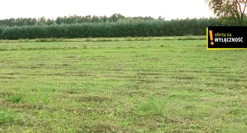 Działka pod agroturystykę w Celinach 3,5 ha