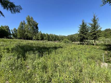 Działka 3580 m2 w Kazimierzu Dolnym 4 km od rynku.