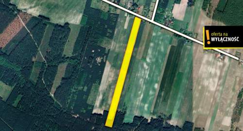 Działka pod agroturystykę w Celinach 3,5 ha