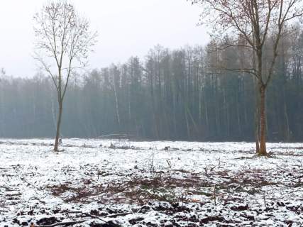 Działki w Halickich