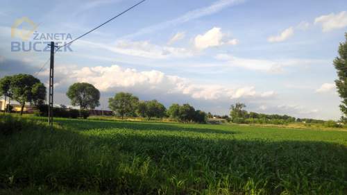 Działka w Kopytowie 34 470 m2 przy DK92