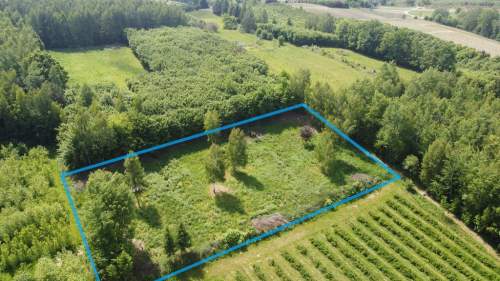 Działka 3580 m2 w Kazimierzu Dolnym 4 km od rynku.