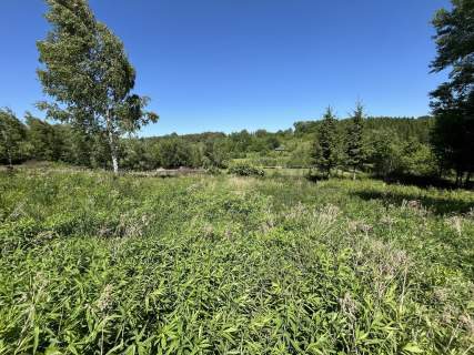 Działka 3580 m2 w Kazimierzu Dolnym 4 km od rynku.