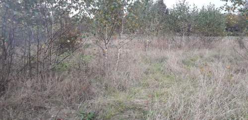 Działka rolno-zagrodowa