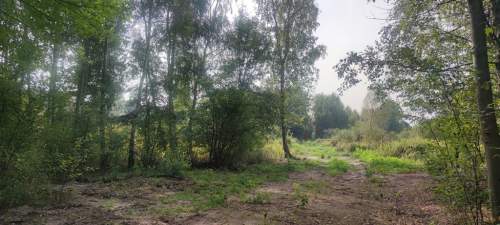 Działka rolna na sprzedaż, 3000 m2, Borzęcin Duży
