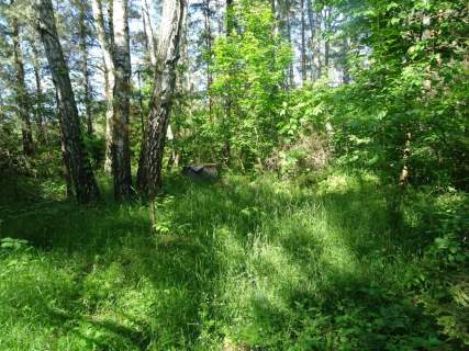 Działka na sprzedaż, 5200 m2, Kwiatkowice-Las