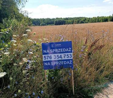 Działka w Małynce Wydane WZ