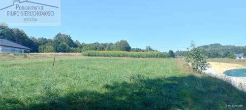 Działka budowlana na sprzedaż, 4400 m2, Gwoźnica Dolna