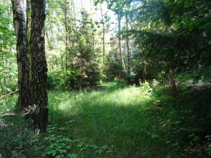 Działka na sprzedaż, 5200 m2, Kwiatkowice-Las