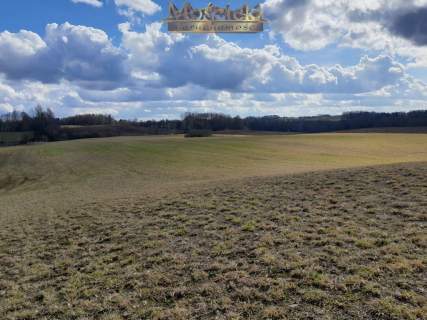 Działka na sprzedaż 5,5 ha gmina Filipów Podlaskie
