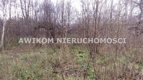 Działka siedliskowa na sprzedaż, 3000 m2, Sokule
