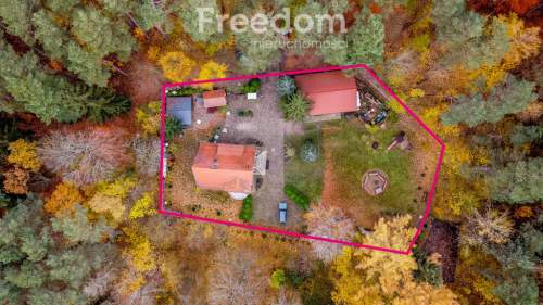 Agroturystyka w lesie nad jeziorem