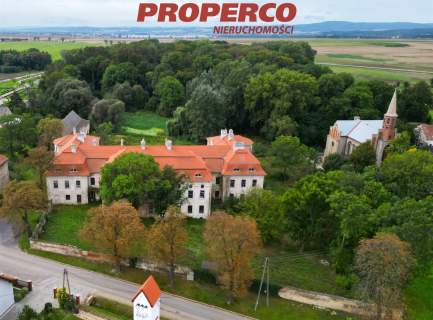 Pałac z XVII wieku, 4100 m2, park 10 ha, Małuszów