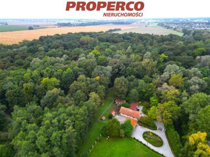 Pałac z XIX wieku 850m2, park i sad 25 ha, Kamień