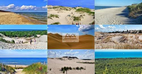 działka przy lesie pod rekreację - 3 km plaża