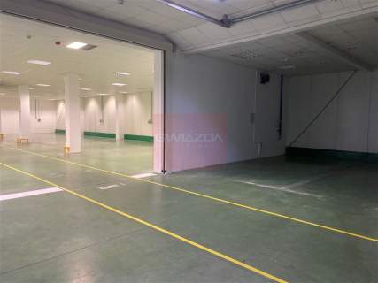 Magazyn do wynajęcia, 800 m2, Piaseczno