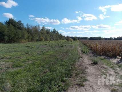 Działka rolna na sprzedaż, 11200 m2, Korabiewice