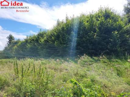 Działka budowlana na sprzedaż, 6553 m2, Dydnia