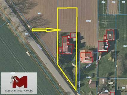 Dom 130 m2, Polska Cerekiew, dz.12,5 ara