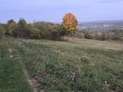 Działka budowlana na sprzedaż, 3600 m2, Brzękowice-Wał