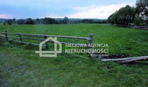 Działka rolna o pow. 2 ha 20.000 m2 Zelewo/Luzino