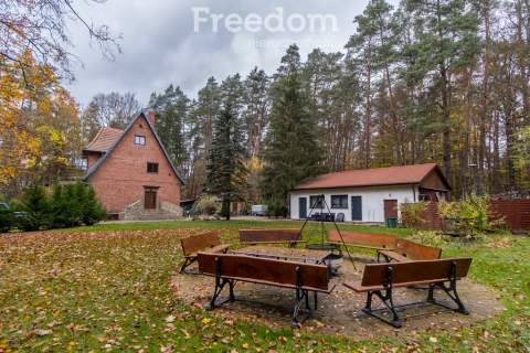 Agroturystyka w lesie nad jeziorem